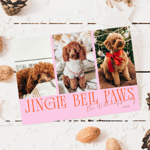 Jingle Bell Paws Christmas Orange Pink Dog Photo Holiday Card
