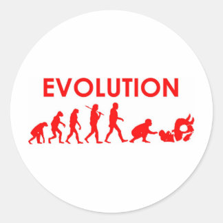 Jiu Jitsu Evolution Classic Round Sticker