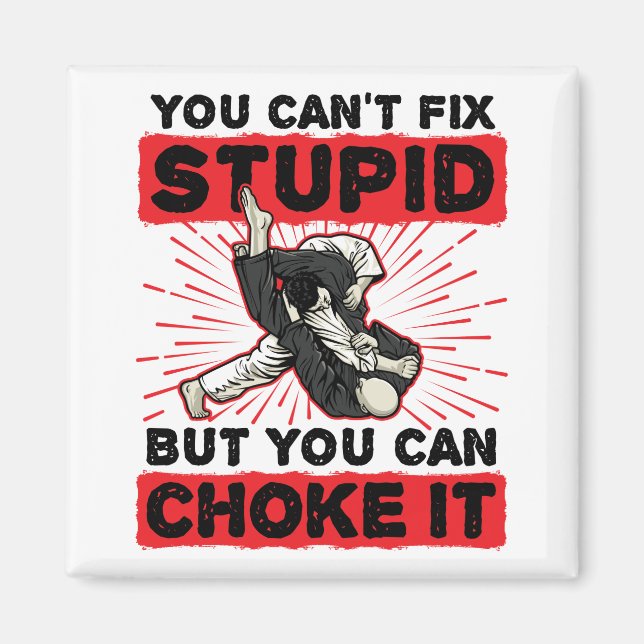 Jiu Jitsu You Can't Fix Stupid But Can Choke It Magnet (Front)