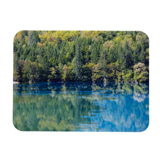 Jiuzhaigou Magnet (Horizontal)