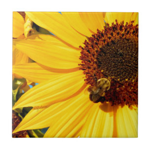 jjhelene "Teddy Bear Queen Bee" Designs Tile