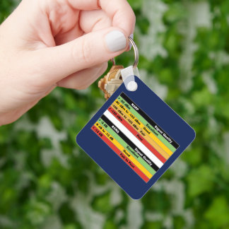 JML Communications Tower Logo & RSRP Signal Streng Keychain