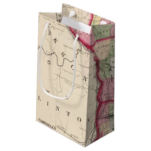 Jo Daviess, Carroll, Whiteside counties Small Gift Bag (Back Angled)
