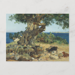Joaquin Sorolla - The Carob Tree Postcard