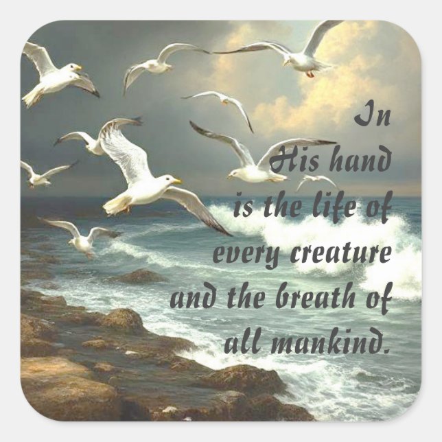 Job 12:10 Scripture Life of Every Creature Square Sticker (Front)