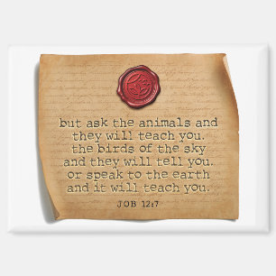 Job 12:7 Kitchen Magnet Home Accent