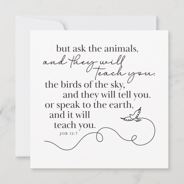 JOB 12:7 - Personalized Note Card (Front)