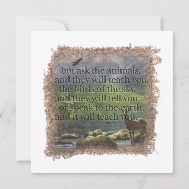 JOB 12:7 - Personalized Notecard (Front)