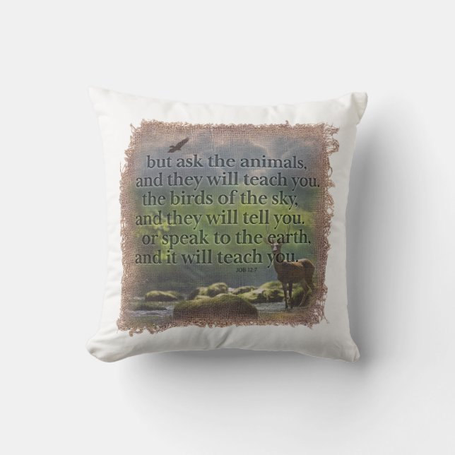 JOB 12:7 - Pillow (Front)
