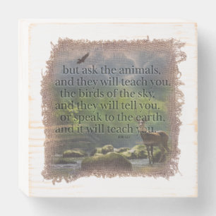 JOB 12:7 - Wood Box Art