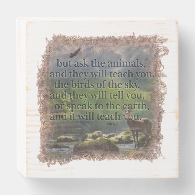 JOB 12:7 - Wood Box Art (Front Horizontal)
