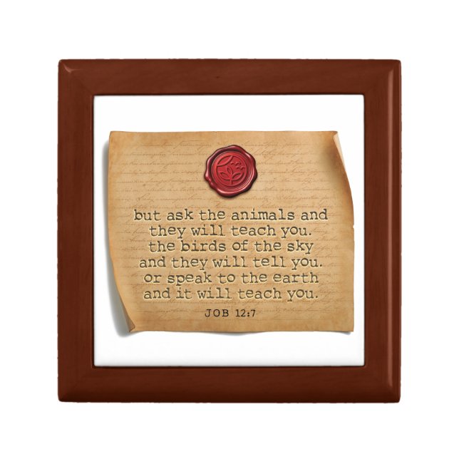 Job 12:7 Wood Keepsake Box (Front)