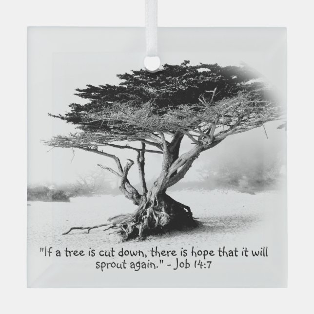 JOB 14:7 Glass Ornament (Front)