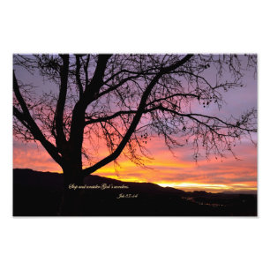 Job 37:14 Stop and consider God's wonders Photo Print