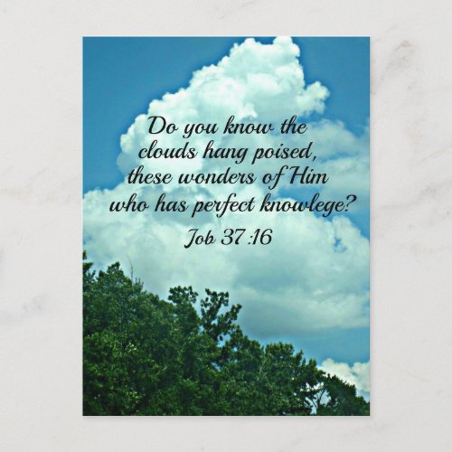 Job 3716 Do you know the clouds Postcard