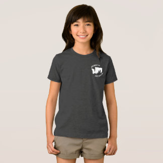 Job's Daughters Washington- T-shirt (Jo-BEE) Tri-Blend Shirt