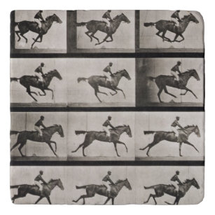 Jockey on a galloping horse, plate 627 from 'Anima Trivet