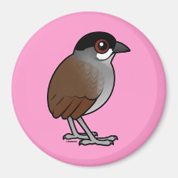 Jocotoco Antpitta Round Magnet