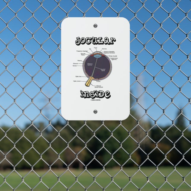 Jocular Eye (I) Inside Human Eyeball Anatomy Metal Sign (In Situ(Fence))