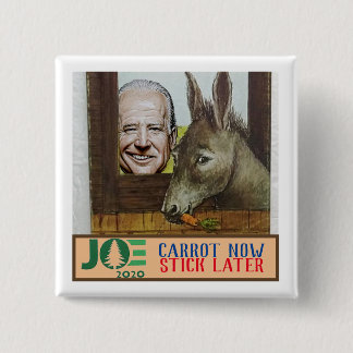 Joe Biden: Carrot Now / Stick Later Button
