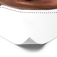 https://rlv.zcache.com/joe_biden_mask_cutout_poster-rdcb3309e0e534b96904c8970d28c6a32_bfm2_8byvr_200.jpg