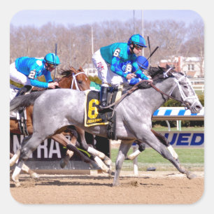 Joe Bravo - My Miss lilly Square Sticker