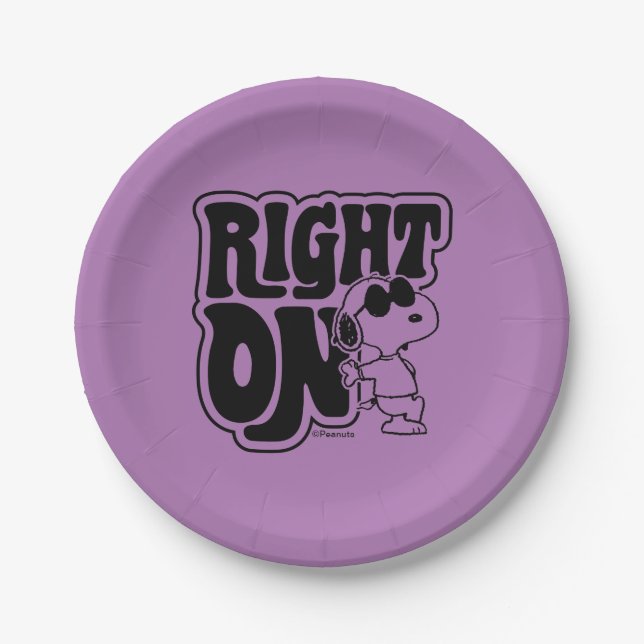 Joe Cool - Right On Paper Plates (Front)