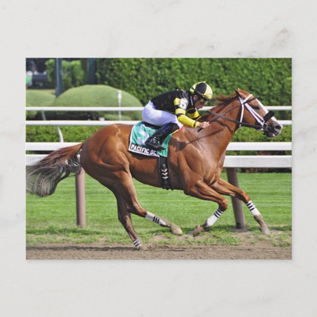 Joel Rosario aboard Pacific Ocean Postcard (Front)