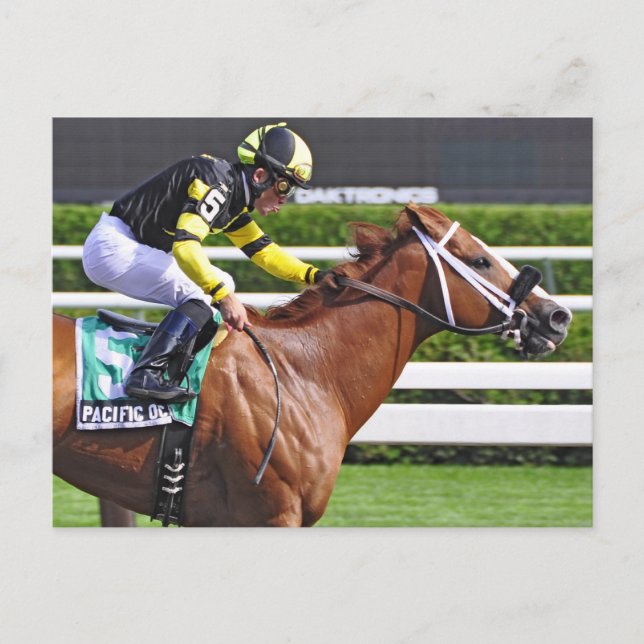 Joel Rosario aboard Pacific Ocean Postcard (Front)