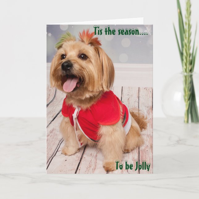 Joey experiences the beauty of Christmas Holiday Card (Front)