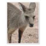 Joey Kangaroo Ready to Hop Temporary Tattoos