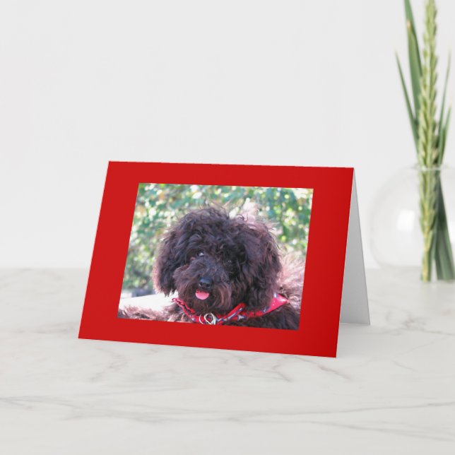 Joey  "Thank You" Thank You Card (Front)