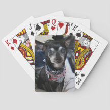 Joey the chihuahua Playing Cards