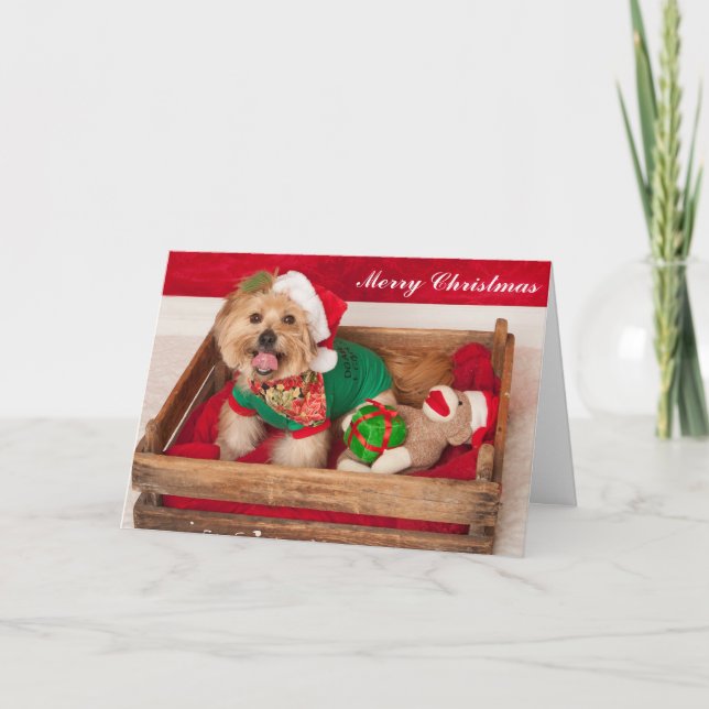 Joey wishes Everyone a Merry Christmas Holiday Card (Front)