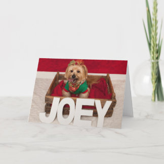 Joey's Favourate Time of Year Holiday Card