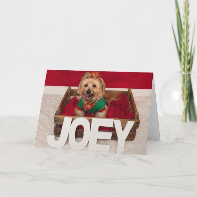 Joey's Favourate Time of Year Holiday Card (Front)