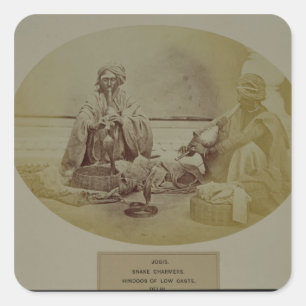 Jogis or Snake Charmers, Low Caste Hindus from Del Square Sticker