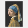 Johannes Vermeer - Girl with a Pearl Earring Wrapping Paper Sheets