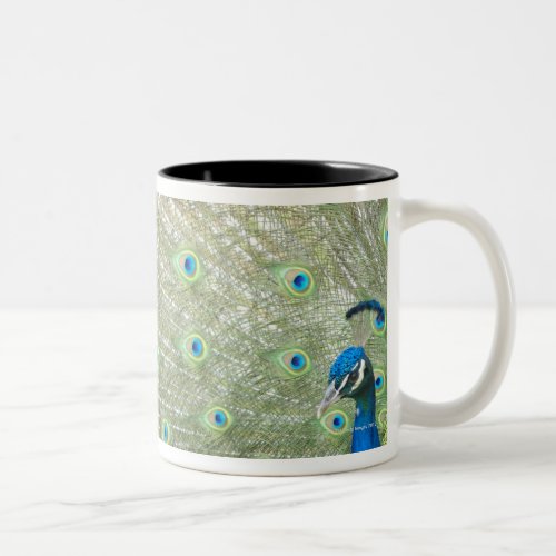 Johannesburg Zoo Gauteng Province South Africa Two_Tone Coffee Mug