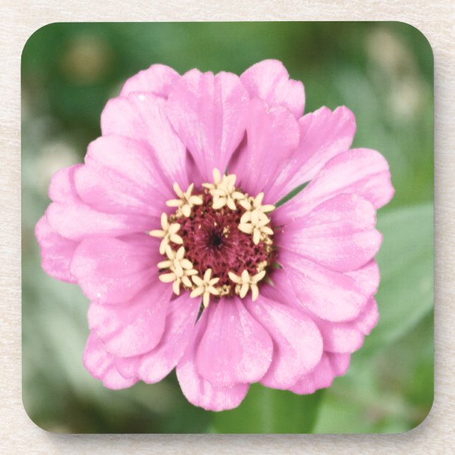 Johann's Beauty Cork Coaster (Front)