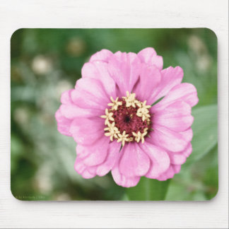Johann's Beauty Mouse Pad