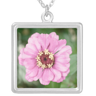 Johann's Beauty Necklace