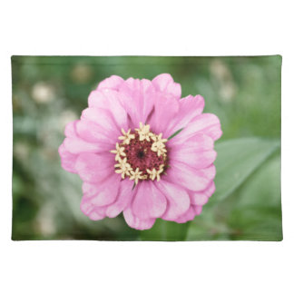 Johann's Beauty Placemats