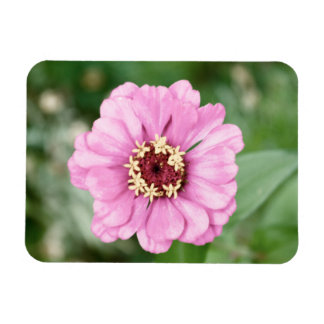 Johann's Beauty Premium Magnet