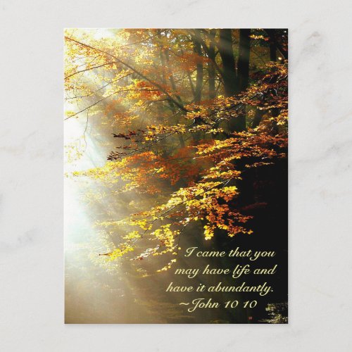 John 10 10 I came that you have life abundantly Postcard