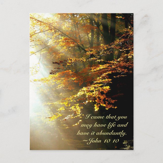 John 10 10 I came that you have life abundantly Postcard (Front)