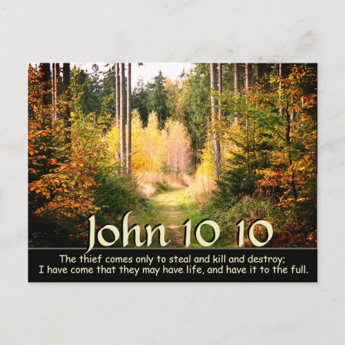 John 10 10 I came that you have life to the full Postcard