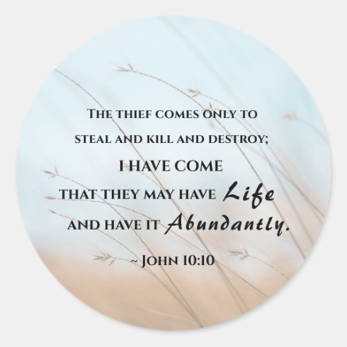 John 1010 I have come that they may have life Classic Round Sticker