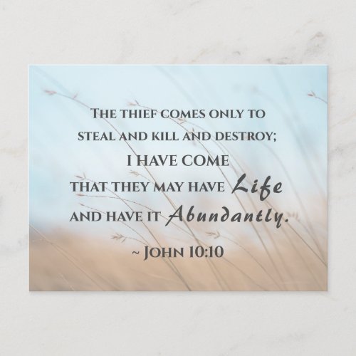 John 1010 I have come that they may have life Postcard