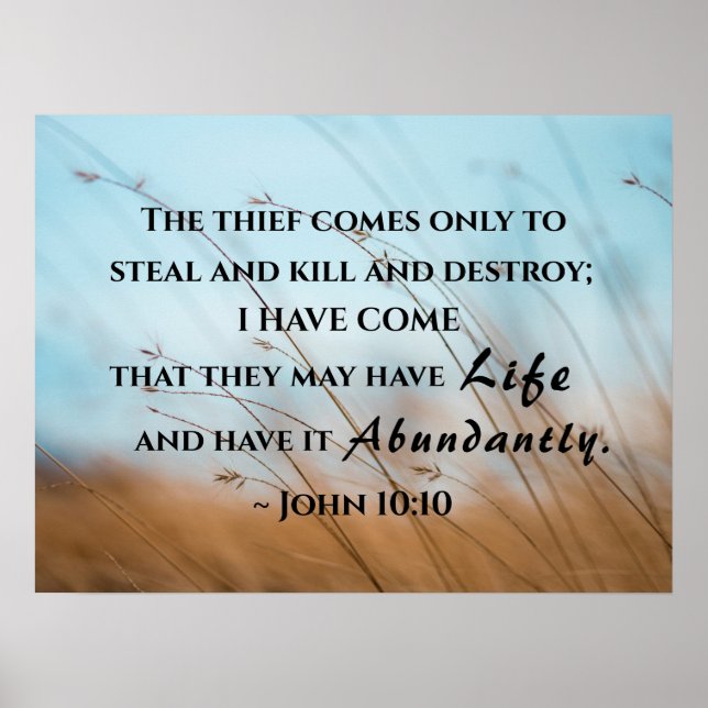 John 10:10 I have come that they may have life  Poster (Front)